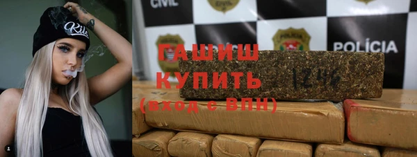 амф Гусев