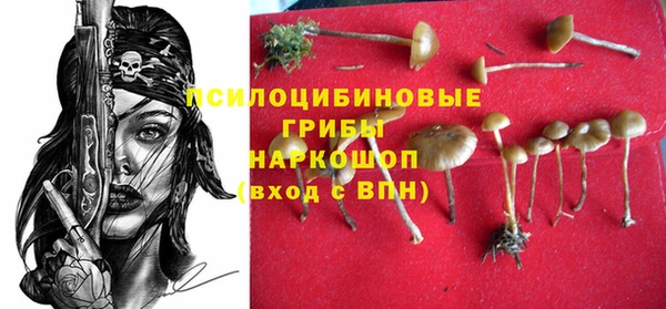 первитин Россошь