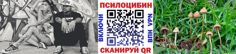 Галлюциногенные грибы GOLDEN TEACHER  Сорочинск 