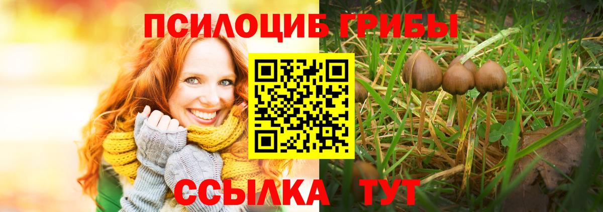 Псилоцибиновые грибы MAGIC MUSHROOMS Сорочинск