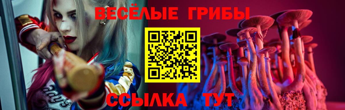 Галлюциногенные грибы мухоморы  Вход с VPN  Галлюциногенные грибы GOLDEN TEACHER  наркотики  Сорочинск 