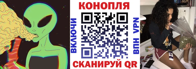 Бошки Шишки семена  Сорочинск 